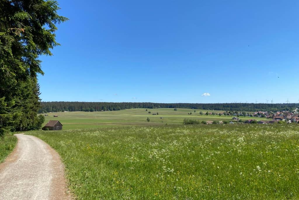 Ferienwohnung Im Schwarzwald Oberwiesenhof Seewald ภายนอก รูปภาพ